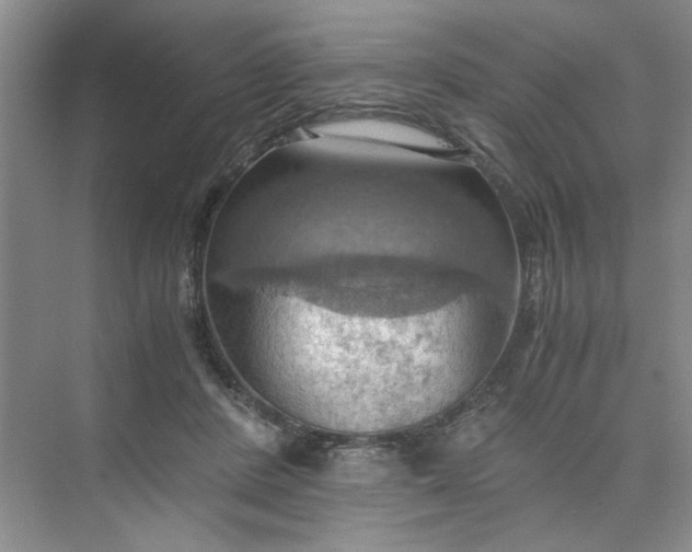 X0000075890408200609291711