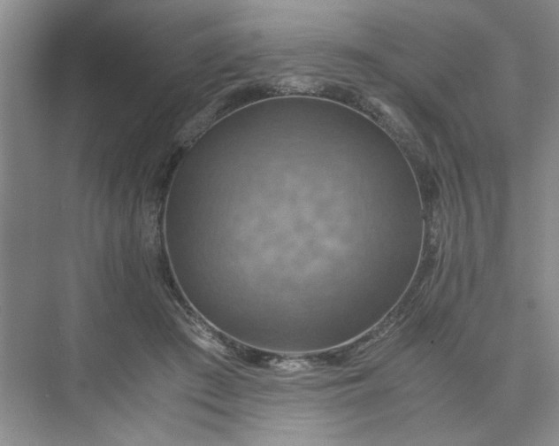 X0000075890409200609291711