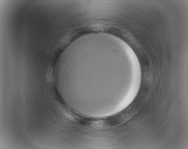 X0000075890411200609291711