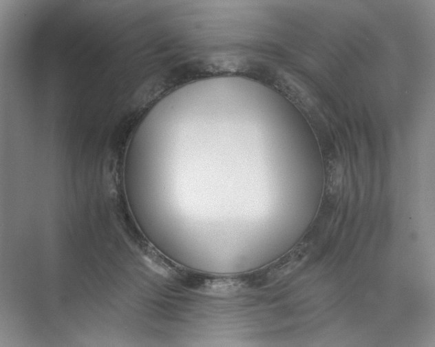 X0000075890414200609291711