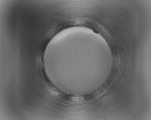 X0000075890415200609291711