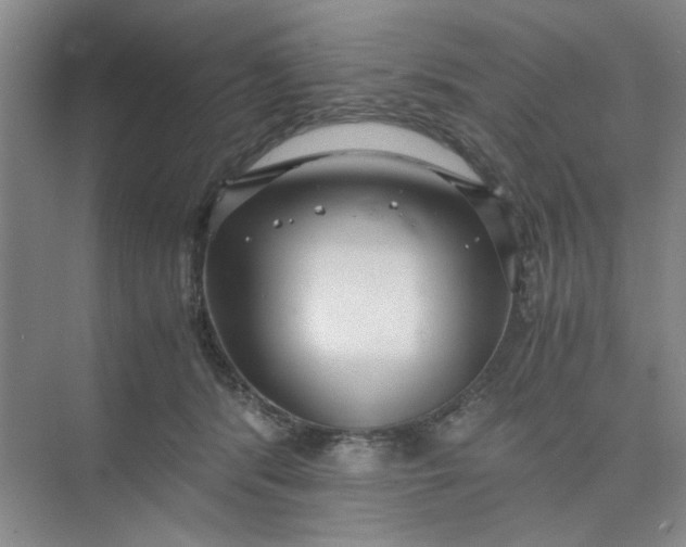 X0000075890416200609291711