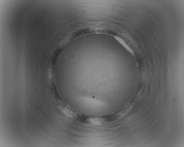 X0000075890417200609291711