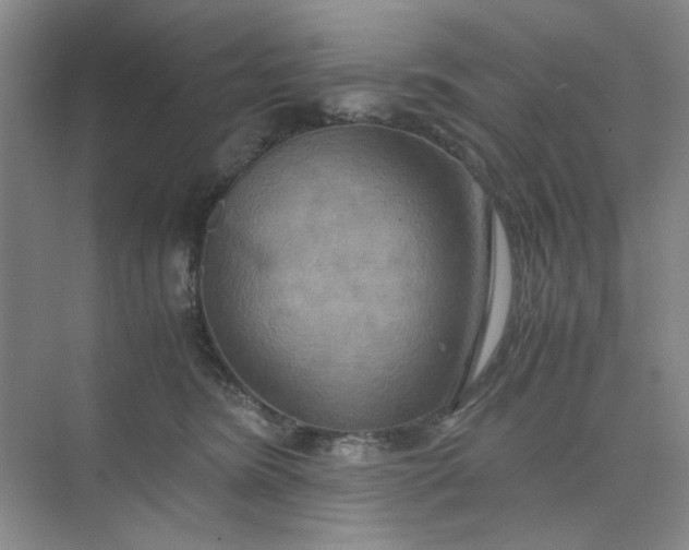 X0000075890420200609291711