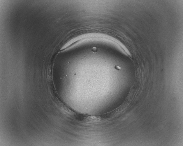 X0000075890421200609291711