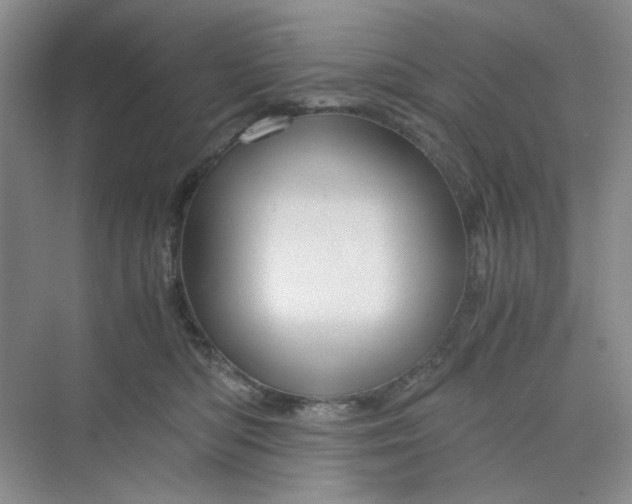 X0000075890422200609291711