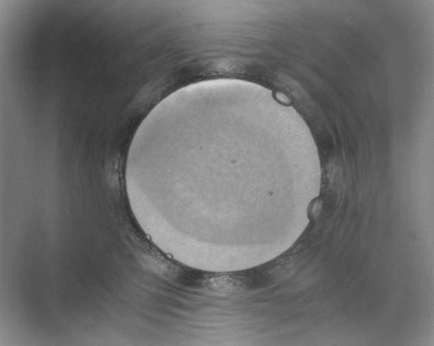 X0000075890423200609291711