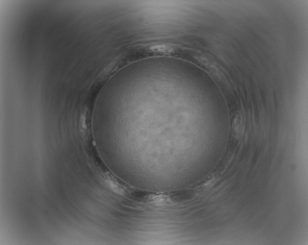 X0000075890424200609291711