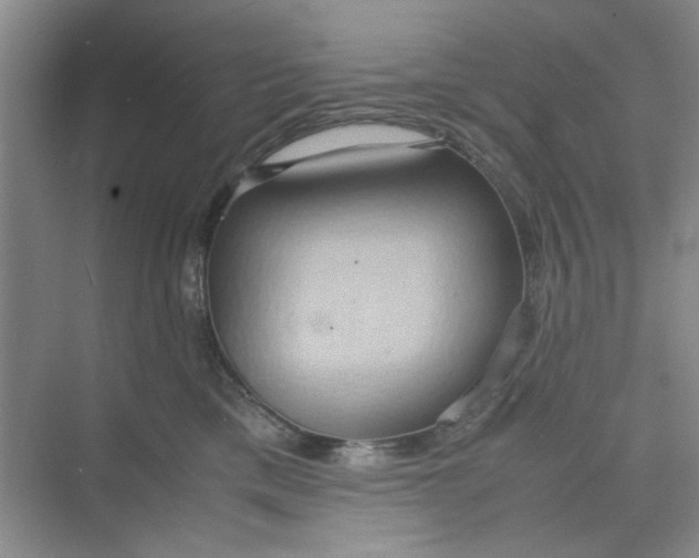 X0000075890425200609291711