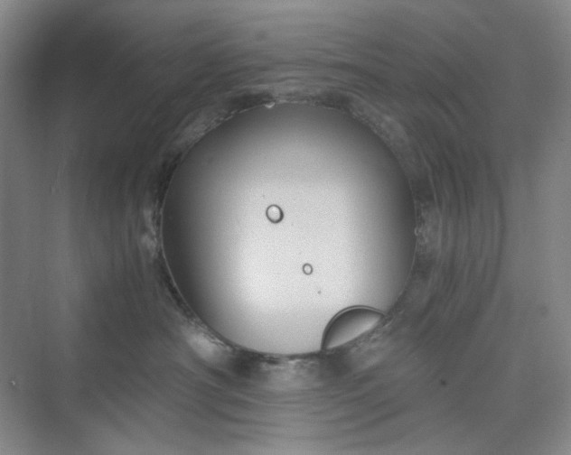 X0000075890430200609291710