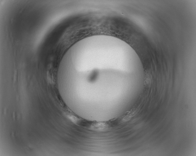 X0000075890431200609291710