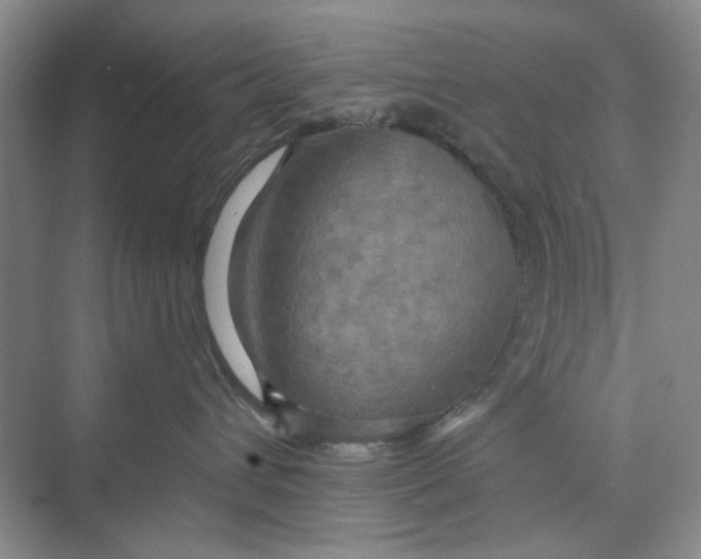 X0000075890432200609291710