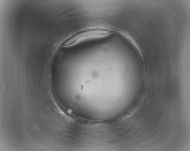 X0000075890433200609291710