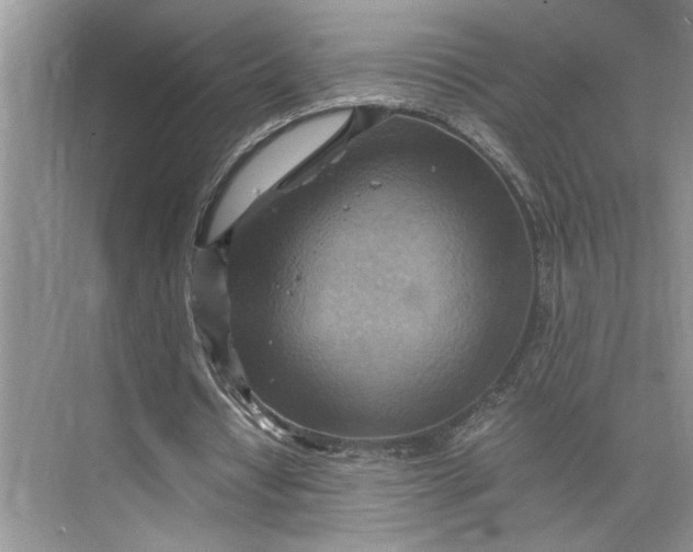 X0000075890434200609291710