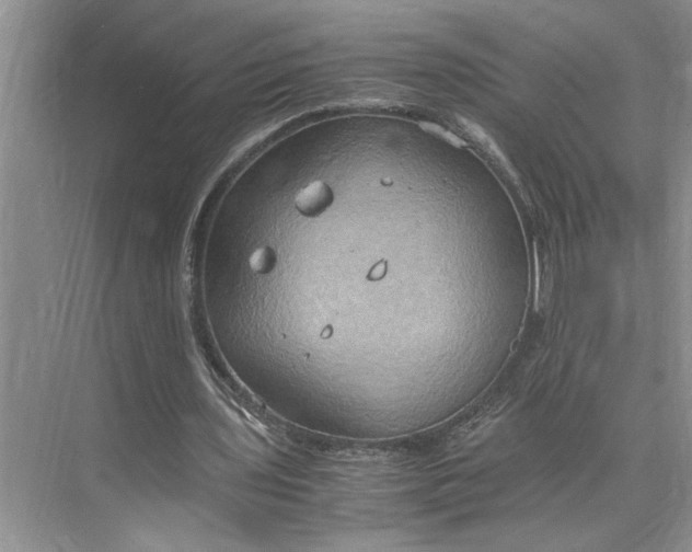 X0000075890435200609291710