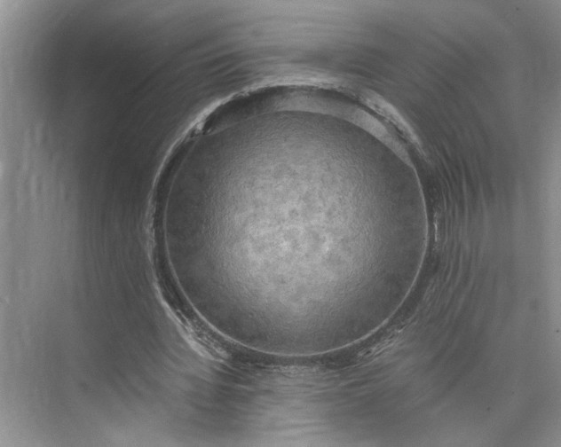 X0000075890436200609291710