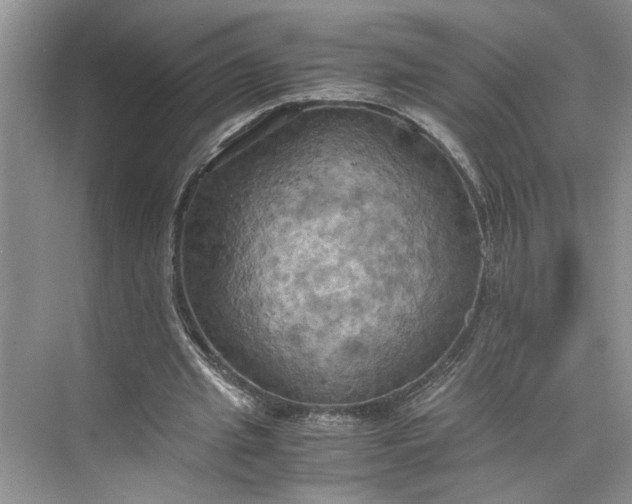 X0000075890437200609291710