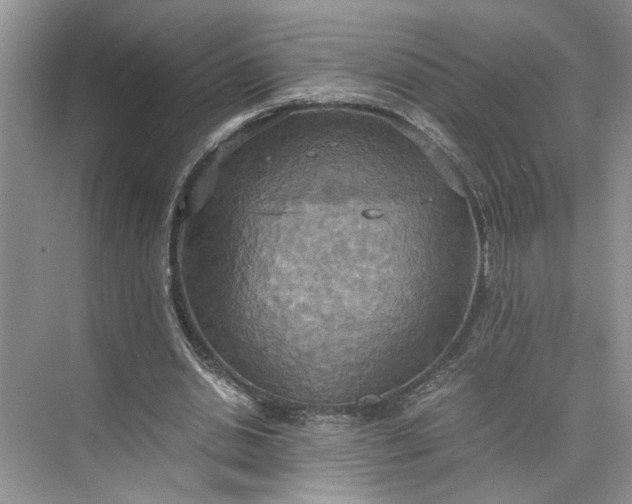 X0000075890438200609291710