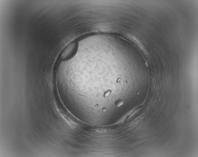 X0000075890439200609291710