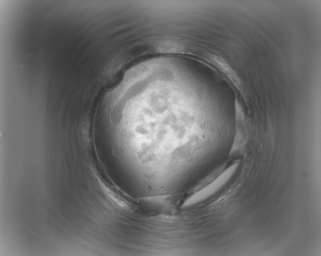 X0000075890441200609291710