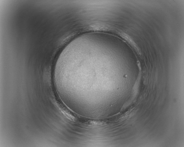 X0000075890442200609291710