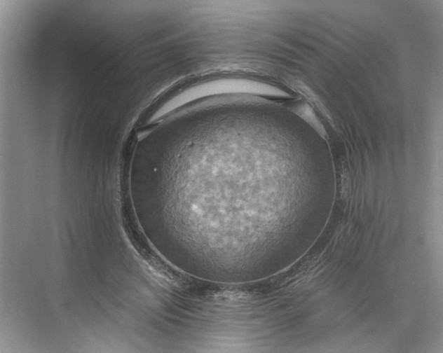 X0000075890444200609291710