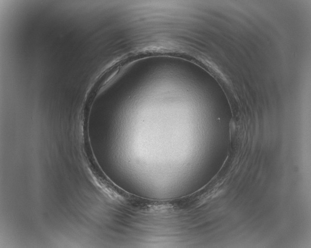 X0000075890446200609291710