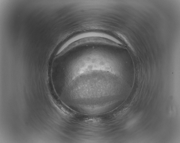 X0000075890447200609291710