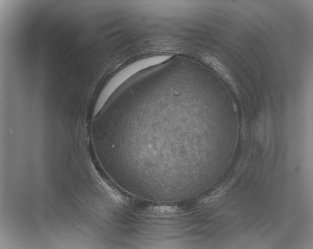 X0000075890449200609291710