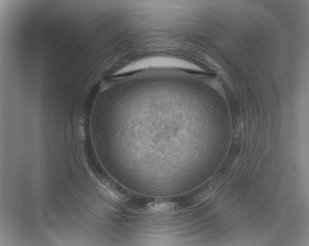 X0000075890452200609291710