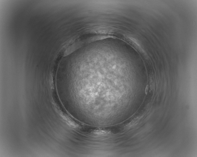 X0000075890453200609291710