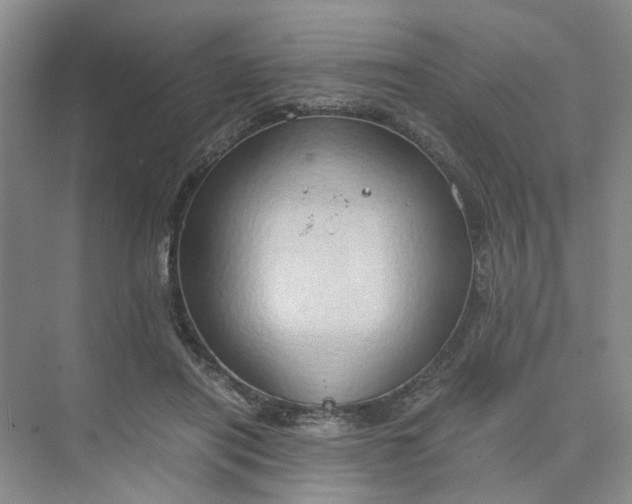 X0000075890454200609291710