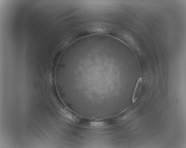 X0000075890457200609291710