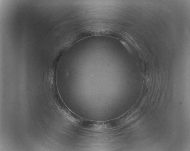 X0000075890458200609291710