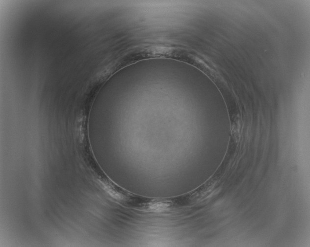 X0000075890462200609291710