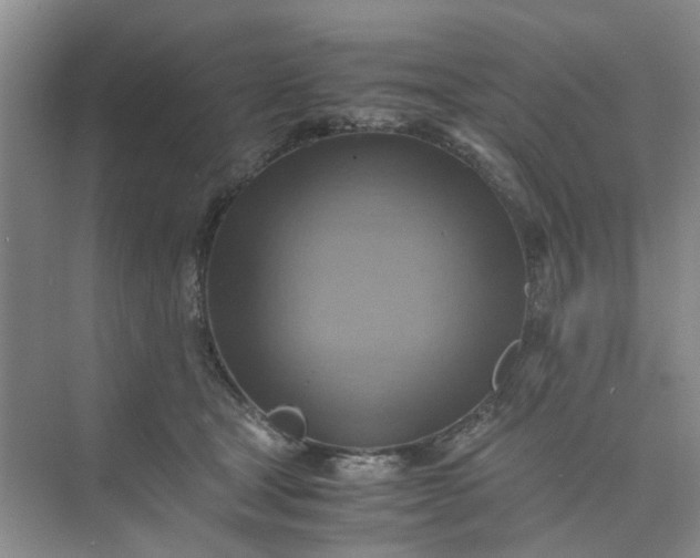 X0000075890465200609291710