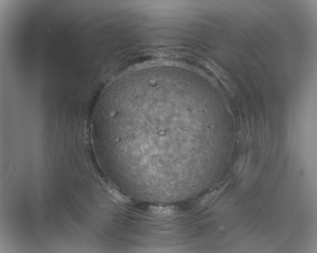 X0000075890469200609291710