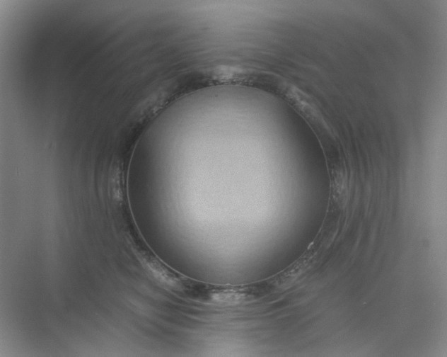 X0000075890470200609291710