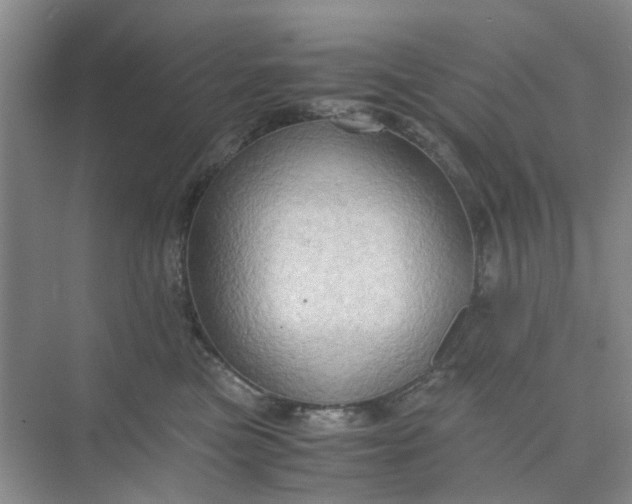 X0000075890473200609291710