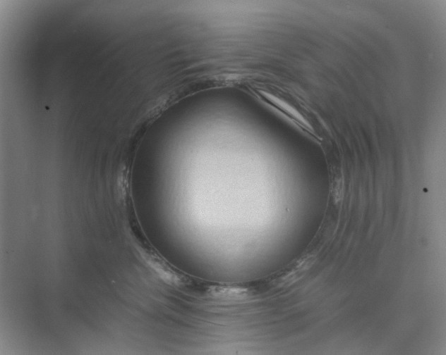 X0000075890476200609291710