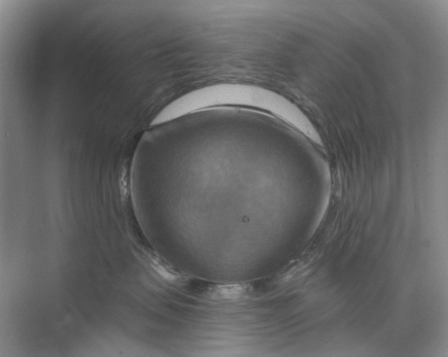 X0000075890479200609291710