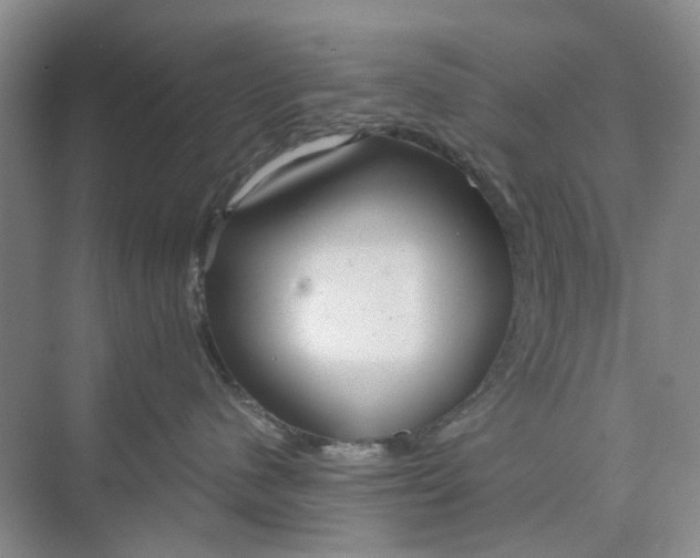 X0000075890480200609291710