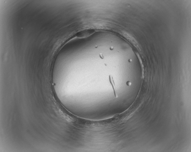 X0000075890481200609291710