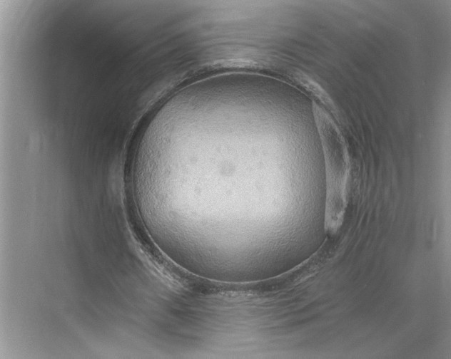 X0000075890482200609291710