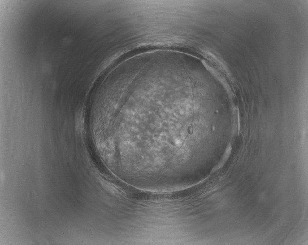 X0000075890483200609291710