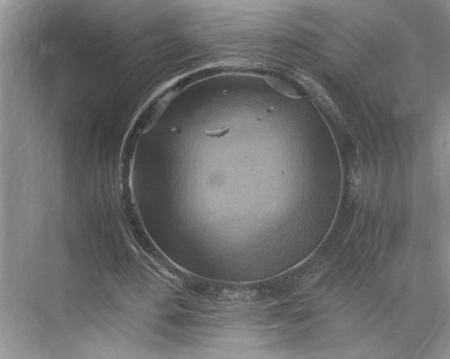 X0000075890484200609291710