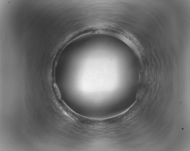 X0000075890485200609291710