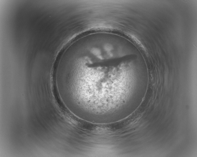 X0000075890487200609291710