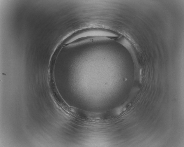 X0000075890488200609291710