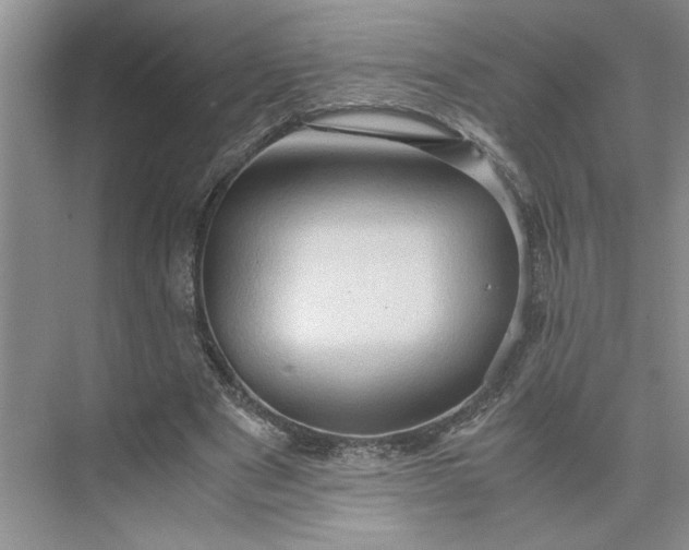 X0000075890489200609291709